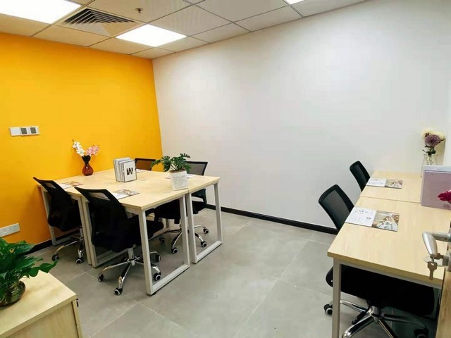 德国多玛旋转门检查