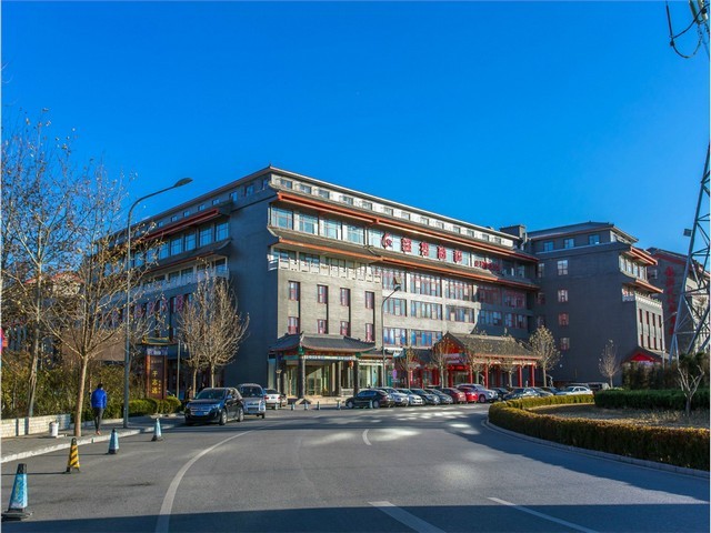 浙江省加密塑料绿植品牌