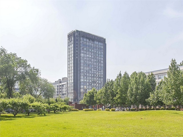 山东黑胡椒粉哪个好